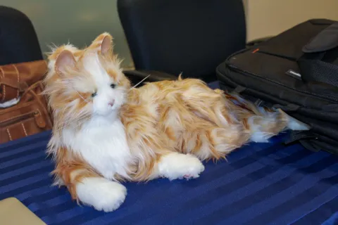 Ginger coloured robotic cat relaxes on a display table