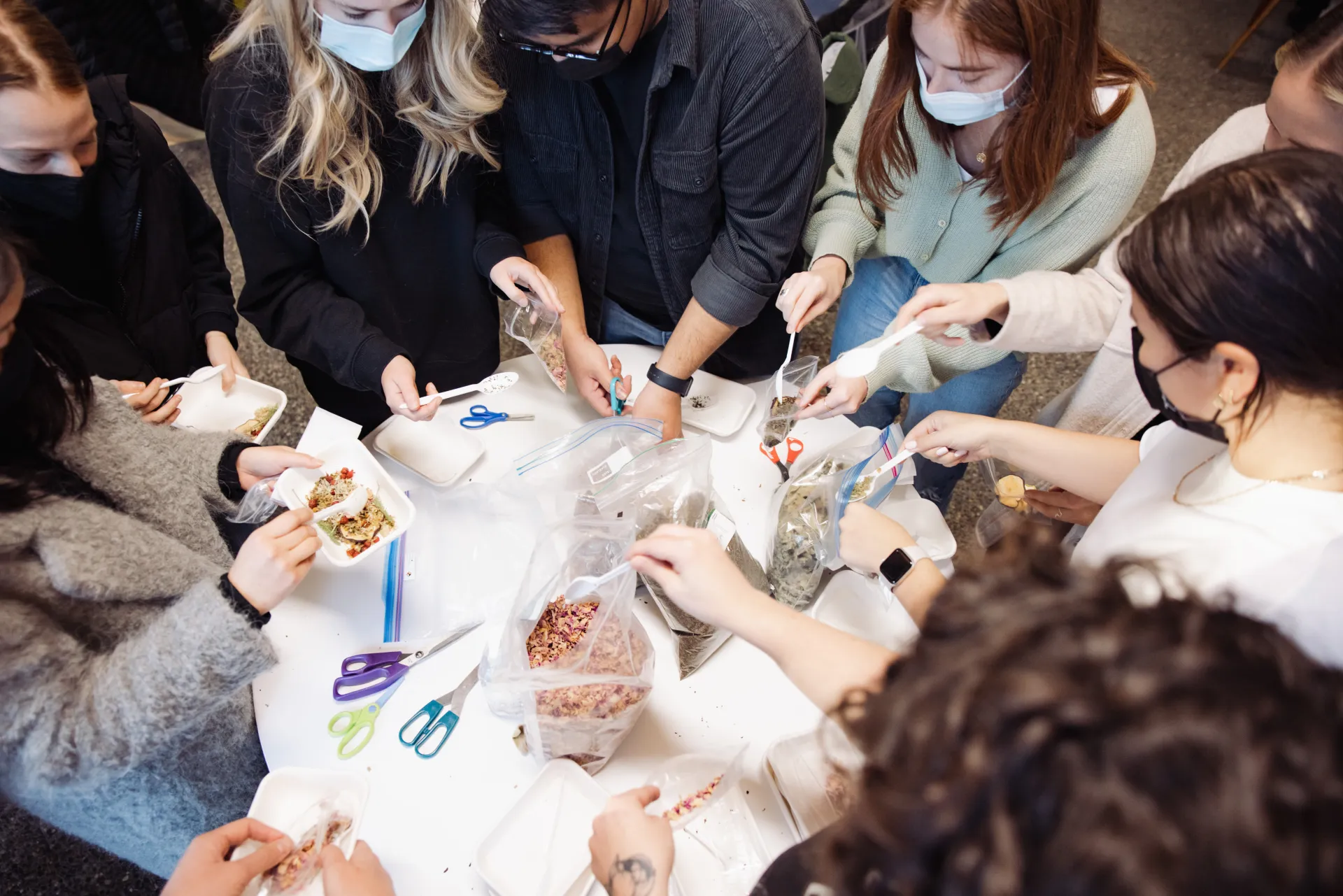 BSN Students in NURS 353